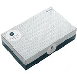 REGAL FACIAL TISSUES 2PLY BOX 100